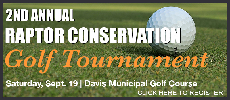 golf tournament