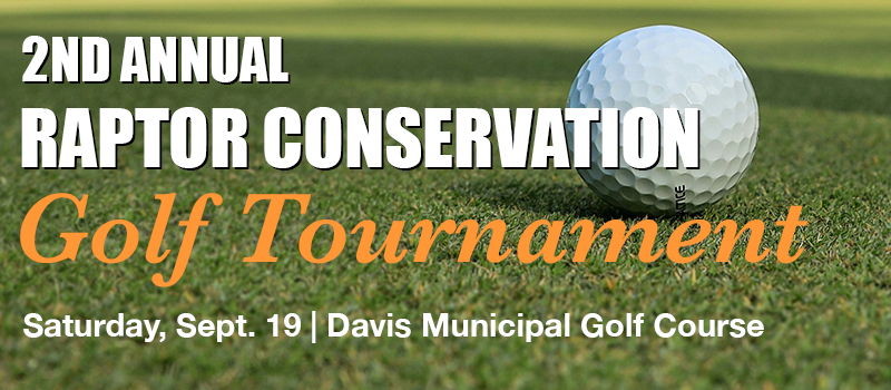 Tournament